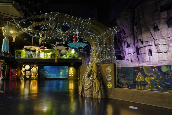Aquarium Phuket and AR Trick Eye Museum Combo Tickets - Aquaria and Trick Eye in one stop under Central Phuket Floresta