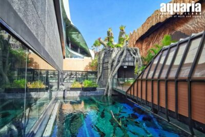 Aquarium Phuket and AR Trick Eye Museum Combo Tickets - Aquaria Phuket: what you’ll actually see inside