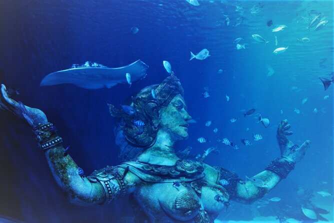 Aquarium Phuket and AR Trick Eye Museum Combo Tickets - Aquaria shows and the room setup that earns real praise