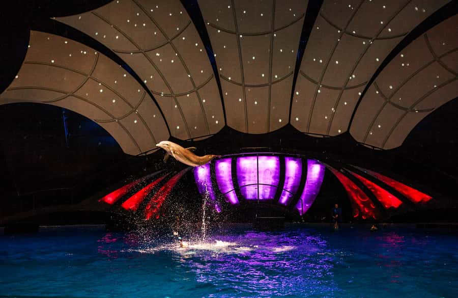 Atlanta: Georgia Aquarium Skip-the-Box-Office Entry Ticket - Key highlights at a glance