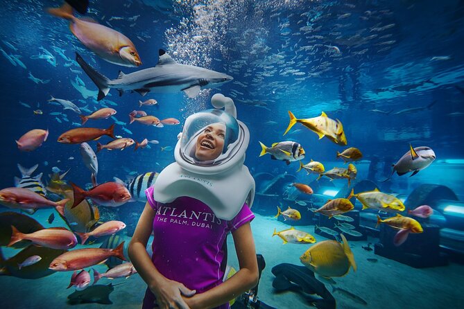 Atlantis Aquaventure and Lost Chambers Aquarium combo Ticket - Who this combo is best for (and who should rethink it)