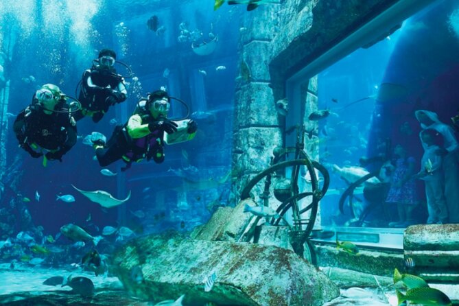 Atlantis Aquaventure and Lost Chambers Aquarium combo Ticket - Should you book the Atlantis Aquaventure and Lost Chambers combo?