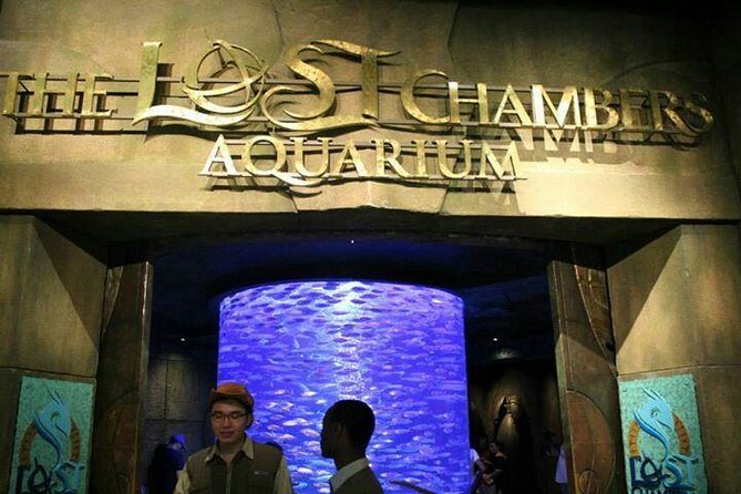 Atlantis Lost-Chamber Aquarium Dubai - Lost Chambers at Atlantis: what you’re really buying for $61.67
