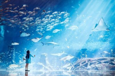 Atlantis Lost-Chamber Aquarium Dubai - Walking into an Atlantis world (without needing backstory)