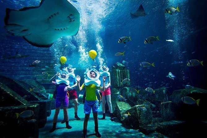 Atlantis Lost-Chamber Aquarium Dubai - Species and tank themes: what to look for (and why it helps)