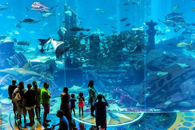 Atlantis Lost-Chamber Aquarium Dubai - Private transfers upgrade: when convenience is worth paying for