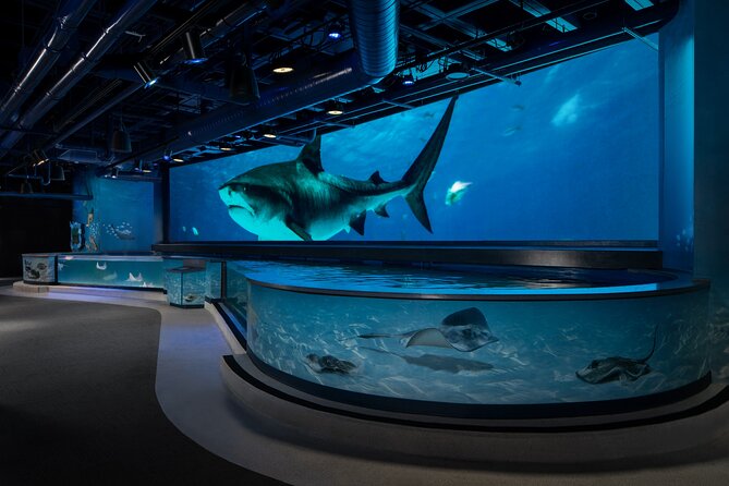 Audubon Aquarium and Insectarium Ticket - Getting In and Where to Start by the French Quarter