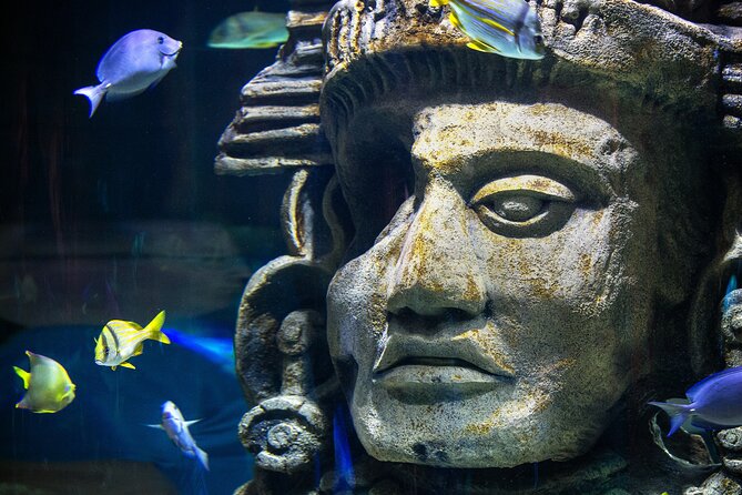 Audubon Aquarium and Insectarium Ticket - Timing Your 2–3 Hours: How to See the Best Parts Without Feeling Rushed