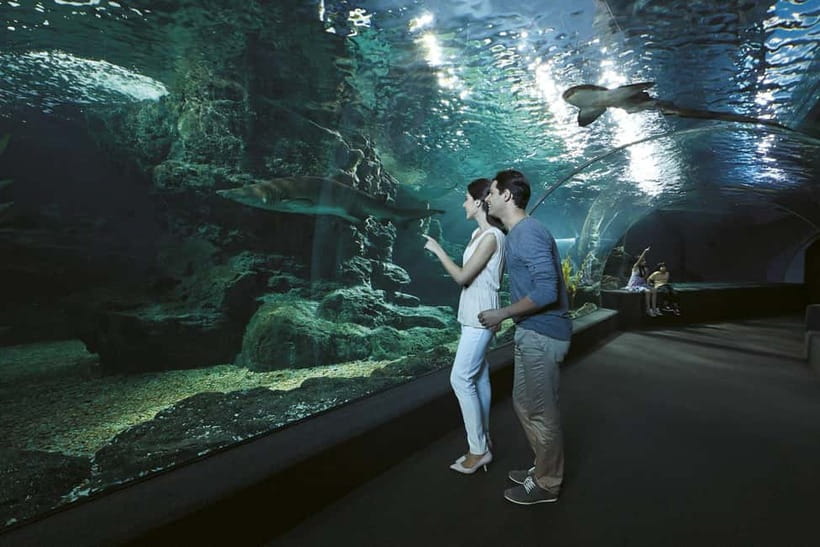Bangkok: SEA LIFE Bangkok & Madame Tussauds Entry Ticket - Why This Siam Ticket Works So Well for One Busy Day