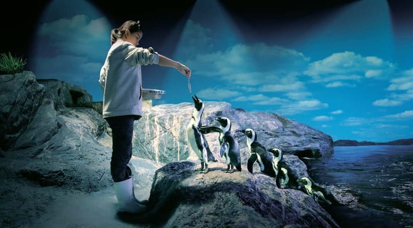 Bangkok: SEA LIFE Bangkok Ocean World Entry Ticket - Key Highlights at a Glance