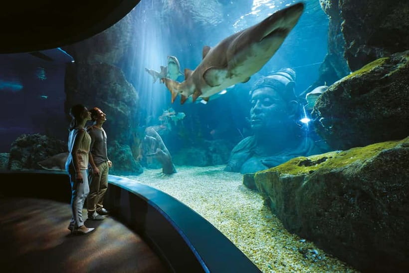 Bangkok: SEA LIFE Bangkok Ocean World Entry Ticket - Entering Siam Paragon: Easy Location, Real-Time Planning