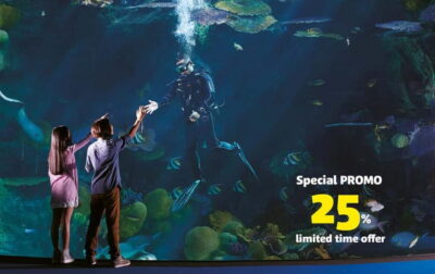 Bangkok: SEA LIFE Bangkok Ocean World Entry Ticket - 11 Themed Zones: What You’ll See and How to Move Through Them