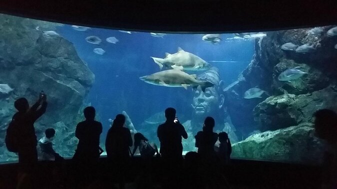 Bangkok SEA LIFE & Madame Tussauds Combo with Hotel Transfers - Key takeaways