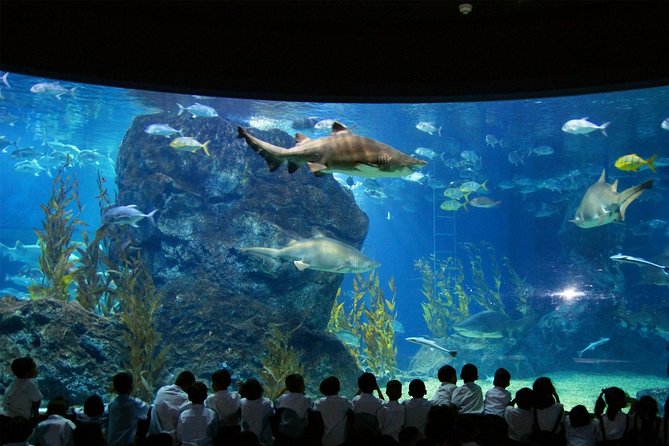 Bangkok SEA LIFE & Madame Tussauds Combo with Hotel Transfers - Why This Sea Life and Madame Tussauds Combo Makes Sense in Bangkok