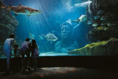 Bangkok SEA LIFE & Madame Tussauds Combo with Hotel Transfers - Stop 1: Sea Life Bangkok Ocean World and the Ocean Creatures You’ll Want to Pause For