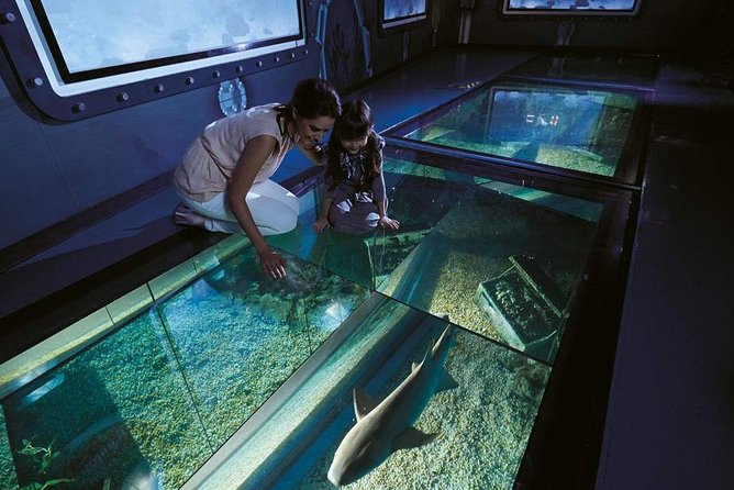 Bangkok SEA LIFE & Madame Tussauds Combo with Hotel Transfers - Skip-the-Line Entry: The Real Value of This Combo Ticket