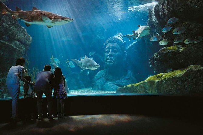 Bangkok SEA LIFE & Madame Tussauds Combo with Hotel Transfers - Stop 1: Sea Life Bangkok Ocean World and the Ocean Creatures You’ll Want to Pause For