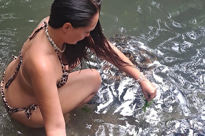 Baraka Aquarium and Dolphin Sightseeing with Sunset Cruise - Quick hits you’ll actually care about