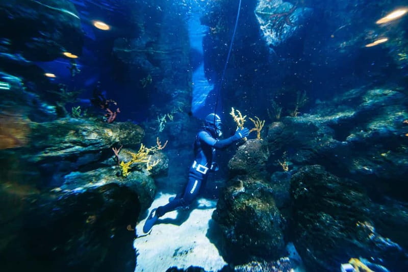 Barcelona Aquarium: Entry Ticket - What Families, First-Timers, and Rainy-Day Plans Should Know