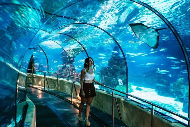 Barcelona Aquarium: Entry Ticket - Oceanarium in Port Vell: Why This Location and Layout Matter