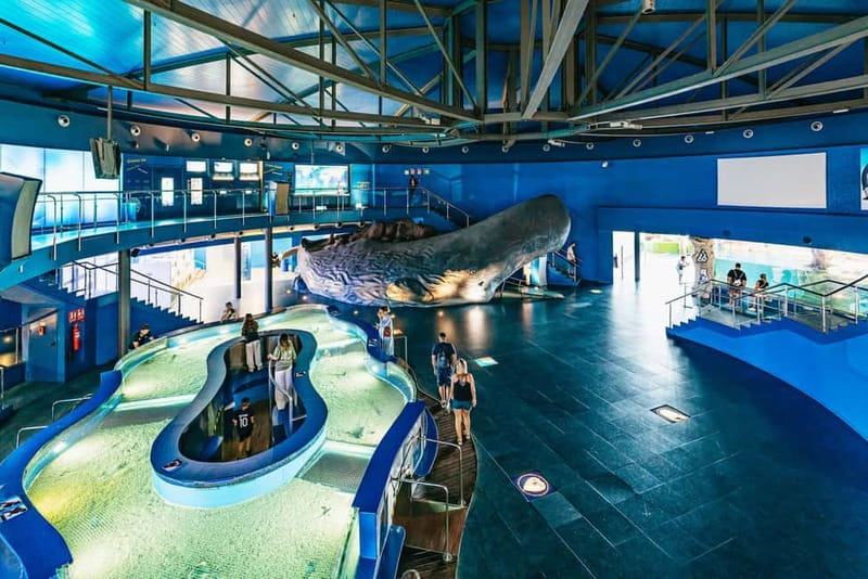 Barcelona Aquarium: Entry Ticket - When to Go in Barcelona: Crowds, Heat, and a Smarter Slot