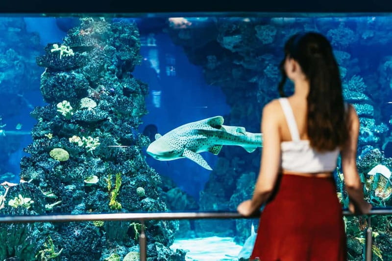 Barcelona Aquarium: Entry Ticket - Strollers, Accessibility, and Bathroom Reality Checks