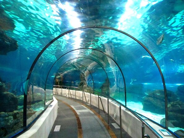 Barcelona Aquarium Skip the Line Ticket - Key things to know before you go