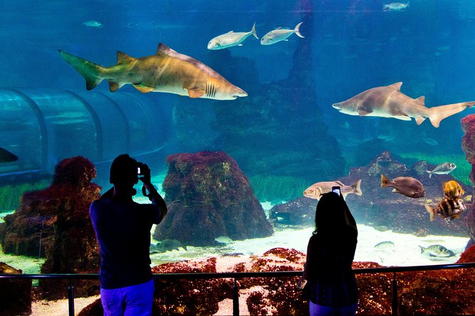 Barcelona Aquarium Skip the Line Ticket - Explora Zone for Kids: Hands-On Learning in Small Details