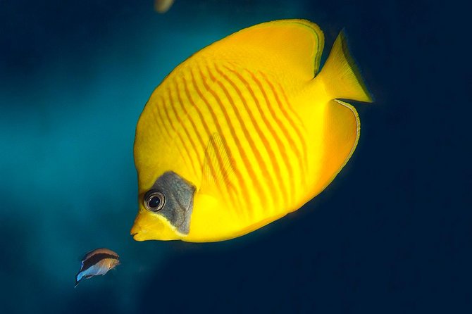Barcelona Aquarium Skip the Line Ticket - Price and Value: When $38.44 Makes Sense