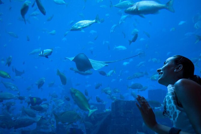 Barcelona City Tour Hop-On Hop-Off and Aquarium - Starting at CatalunyaEixample and riding the red buses