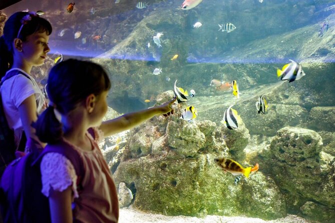 Barcelona City Tour Hop-On Hop-Off and Aquarium - How to time your aquarium visit with the bus schedule