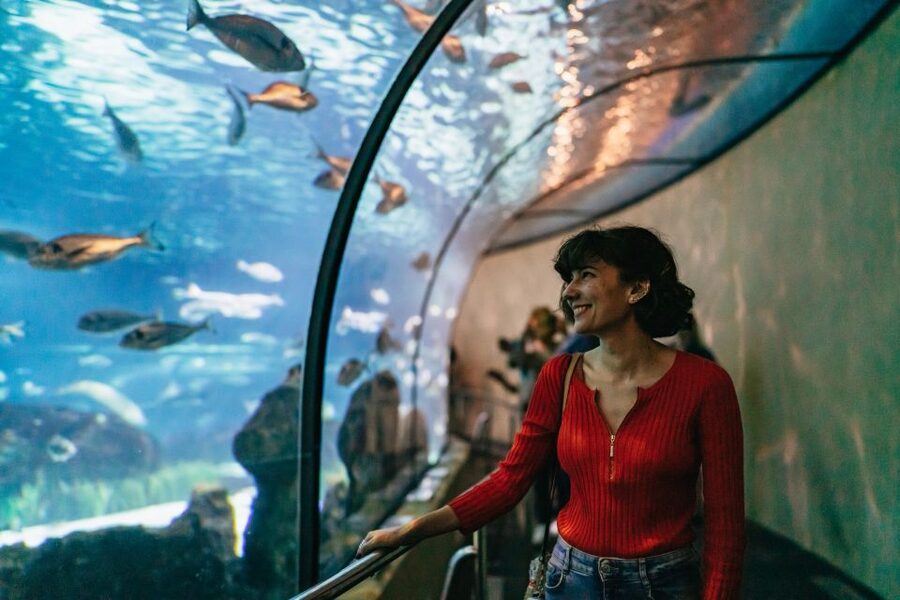 Barcelona: Hop-On Hop-Off Bus & Aquarium Tour - The smart idea: a hop-on bus plus one big indoor hit