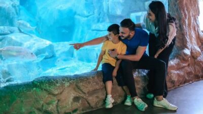 Barcelona: Hop-On Hop-Off Bus & Aquarium Tour - How the 24 or 48-hour pass plays in real life