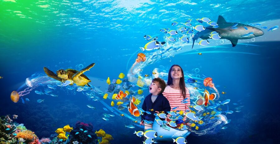 Benalmádena: Sea Life Benalmádena Premium Entry Ticket - The size question: what small means for your expectations