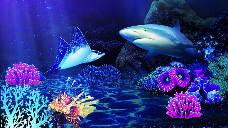 Benalmádena: Sea Life Benalmádena Premium Entry Ticket - Location and getting there: make it easy on yourself