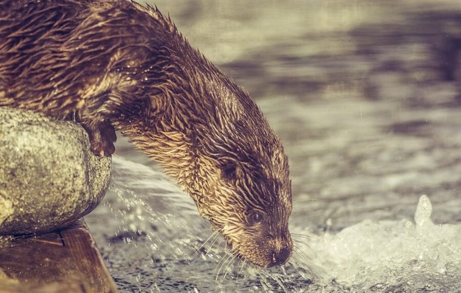 Bergen: Bergen Aquarium Entry Ticket - What Akvariet i Bergen is really like (and why it works)