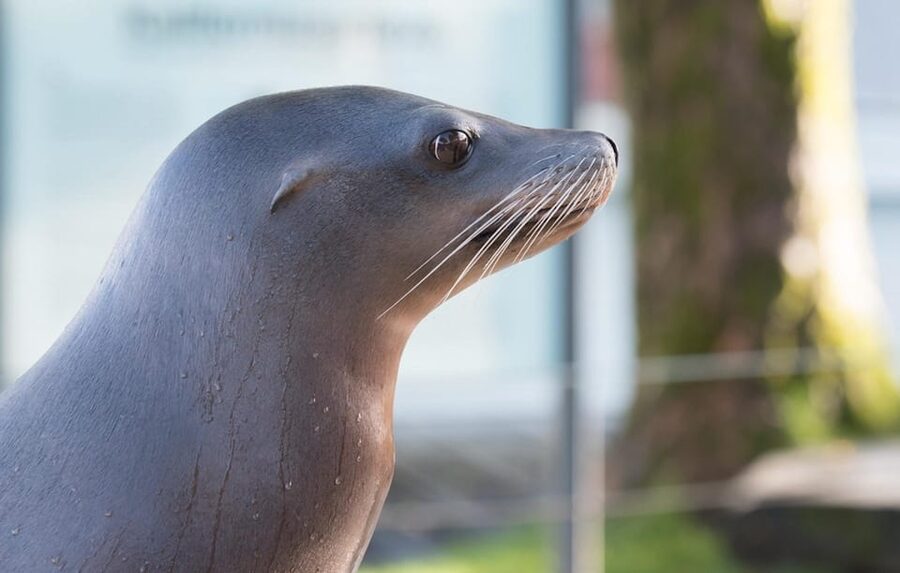 Bergen: Bergen Aquarium Entry Ticket - Getting there from central Bergen without stress