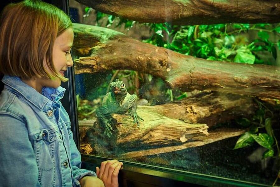 Bergen: Bergen Aquarium Entry Ticket - Learning moments: how the info is delivered