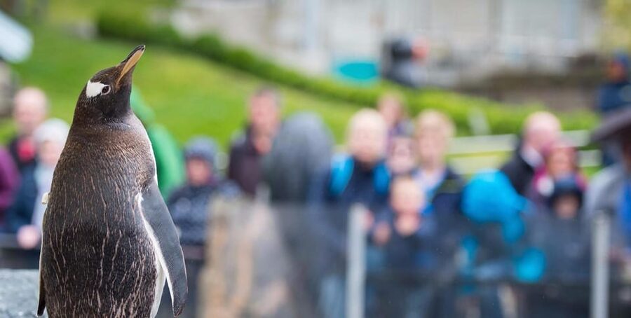 Bergen: Bergen Aquarium Entry Ticket - Timing and openings: choose the right seasonal plan