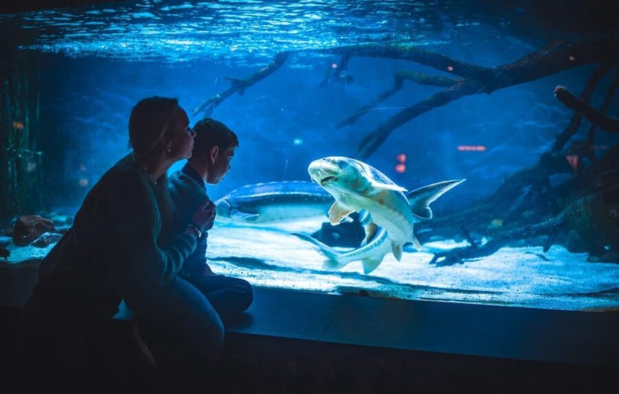 Bergen: Bergen Aquarium Entry Ticket - Pricing and value: is $40 per person worth it?
