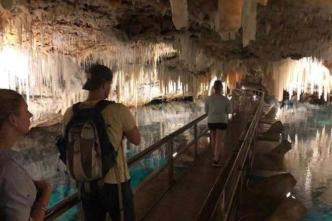 Bermuda Aquarium and Crystal Caves Admission - Bermuda Aquarium, Natural History Museum & Zoo: up-close wildlife and local context