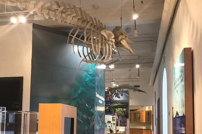 Bermuda Aquarium and Crystal Caves Admission - Booking tips for a smoother cave day