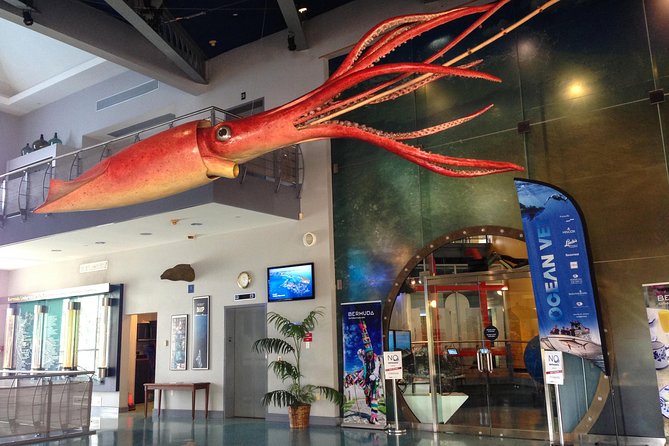 Bermuda Underwater Exploration Institute and Aquarium Adventure Day - Key Highlights Worth Knowing Before You Go