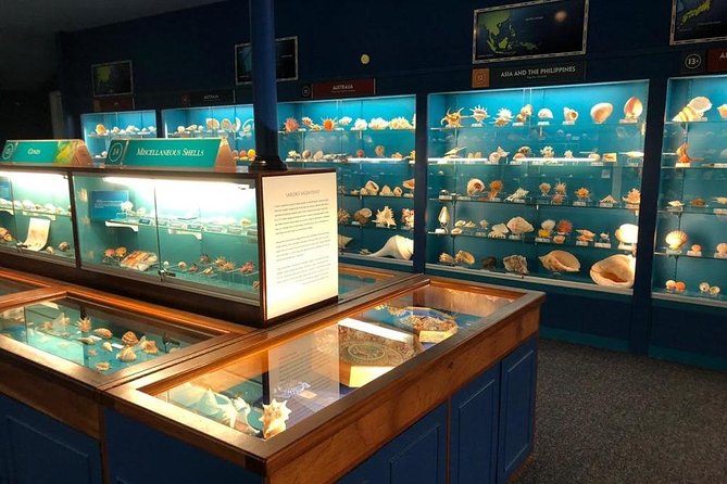 Bermuda Underwater Exploration Institute and Aquarium Adventure Day - Price and Value: Is $159 Worth It for Admission Plus Transport?