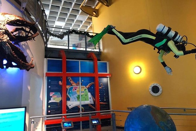 Bermuda Underwater Exploration Institute and Aquarium Adventure Day - Weather, Timing, and the One Simple Rule: Plan for Good Conditions