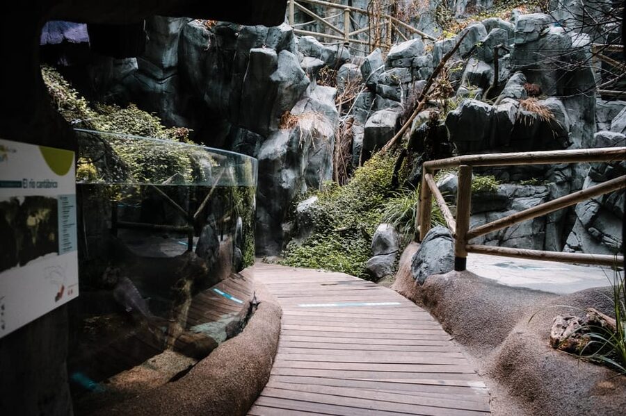 Bioparc Aquarium of Gijon Entry Ticket - Pricing: Is $24 a Good Deal for a One-Day Visit?