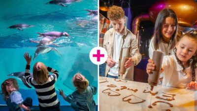 Birmingham: Cadbury World & SEA LIFE Birmingham - What a Combined Day Looks Like (And How to Avoid Time-Slot Stress)
