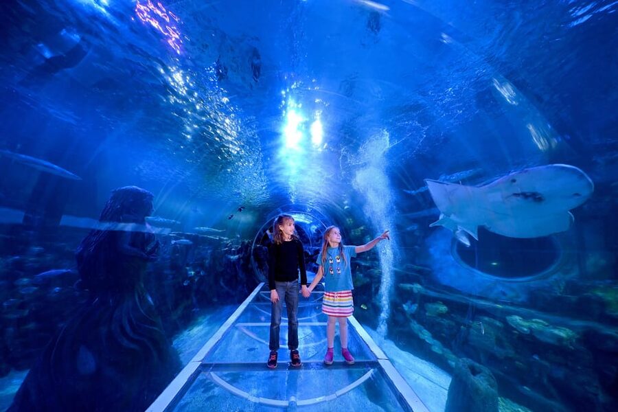 Birmingham: Cadbury World + SEA LIFE + LEGOLAND Discovery - Cadbury World: Chocolate making, plus a can’t-miss 4D show