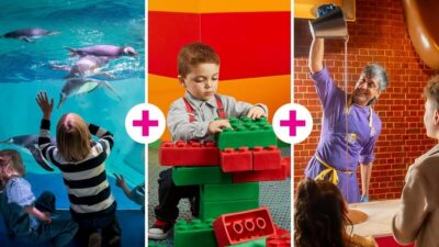 Birmingham: Cadbury World + SEA LIFE + LEGOLAND Discovery - SEA LIFE Birmingham: Sea otters and an ocean tunnel you can take at kid pace