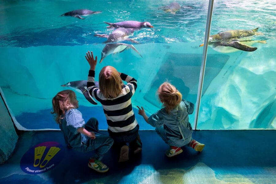 Birmingham: Cadbury World + SEA LIFE + LEGOLAND Discovery - Who this family adventure is best for (and who should rethink it)